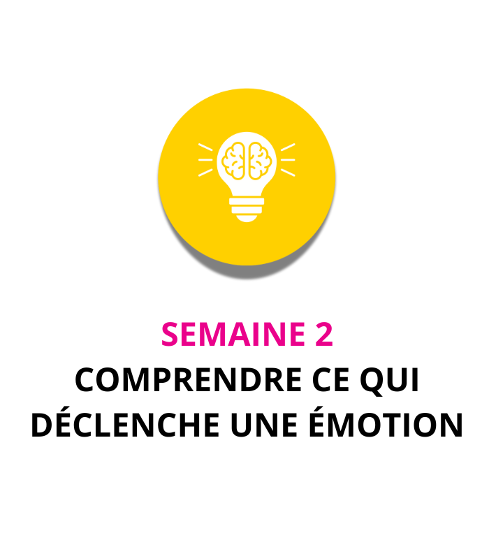 Semaine 2