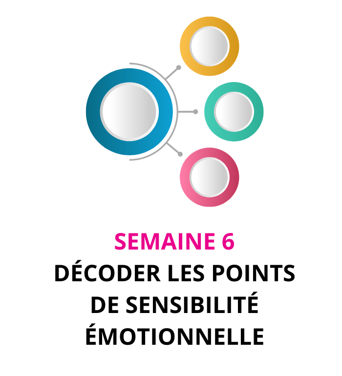 Semaine 6