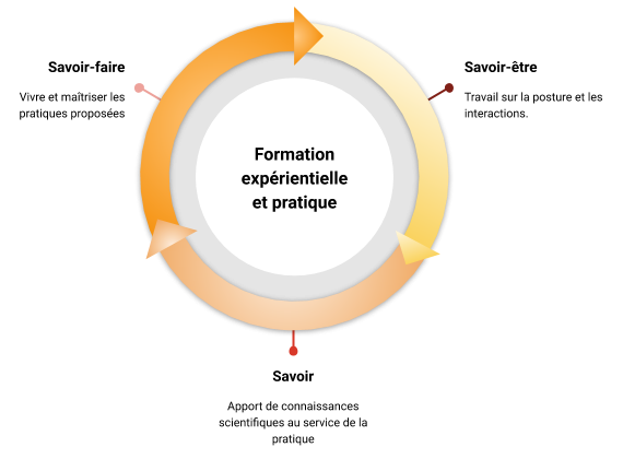 les 3 niveaux de formation en psychologie positive