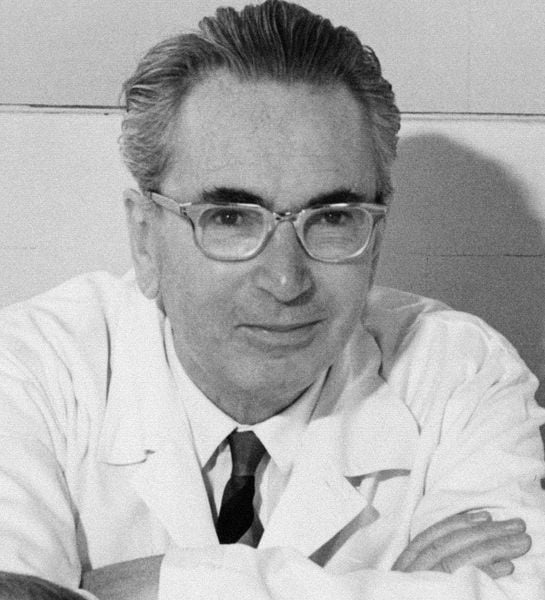 portrait de Viktor Frankl